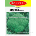 High Quality Hybrid F1 Broccoli Seeds 80-85 days-Green Crown 308